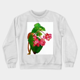 Begonia Crewneck Sweatshirt